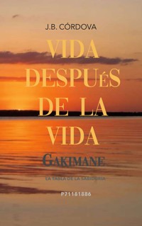 Vida Después de la Vida - Juan Búcaro - ebook