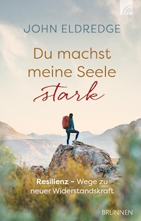 Du machst meine Seele stark - Eldredge John - ebook
