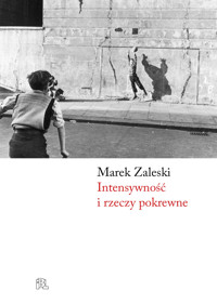 Intensywność i rzeczy pokrewsne - Zaleski Marek - ebook