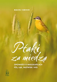 Ptaki za miedzą - Maciej Cmoch  - ebook