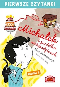 Pierwsze czytanki Michałek i pudełko niespodzianek Poziom 3 - Stelmaszyk Agnieszka - książka