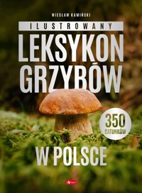 Ilustrowany leksykon grzybów w Polsce - Wiesław Kamiński - książka