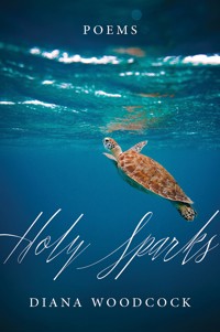 Holy Sparks - Diana Woodcock - ebook