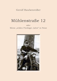 Mühlenstraße 12 - Gerolf Haubenreißer - ebook
