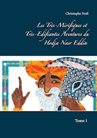 Les Très-Mirifiques et Très-Edifiantes Aventures du Hodja Nasr Eddin - Christophe Noël - ebook