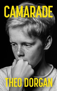 Camarade: A Masterful Dual Timeline Novel from Celebrated Irish Poet - Theo Dorgan - ebook