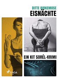 Eisnächte - Ditte Birkemose - ebook
