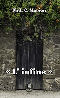 « L’infine » - Phil. C. Mérien - ebook