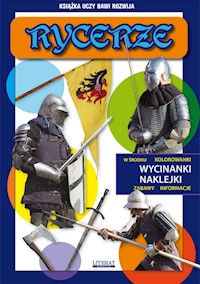 Rycerze - Sadowska Sylwia - książka