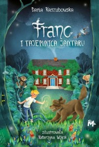 Franc i tajemnica Jantaru. Seria Borkowie i kaszubskie przygody. Tom 1 - Daria Kaszubowska - ebook + audiobook + książka