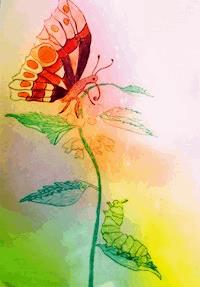 Die Raupe Frieda und Fridolin der Schmetterling - Wolfgang Grunow-Lietz - ebook