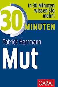 30 Minuten Mut - Patrick Herrmann - ebook