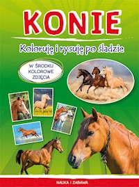Konie Koloruję i rysuję po śladzie - Myślak Monika - książka