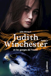 Judith Winchester et les gorges de l'oubli - Julie Michaud - ebook