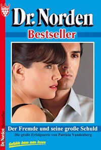 Der Fremde und seine große Schuld - Vandenberg Patricia - ebook