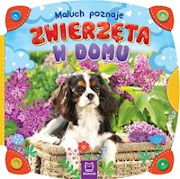 Maluch poznaje zwierzęta w domu -  - książka