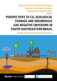 Perspectives to CO2 Geological Storage and Greenhouse Gas Negative Emissions in South-Southeastern Brazil - Raíssa Moreira Lima Mendes Musarra - ebook