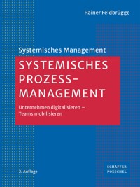 Systemisches Prozessmanagement - Rainer Feldbrügge - ebook