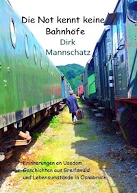 Die Not kennt keine Bahnhöfe - Dirk Mannschatz - ebook