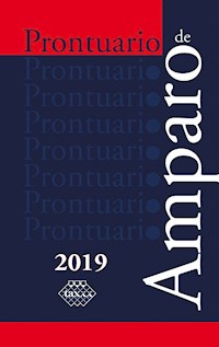 Prontuario de Amparo 2019 - José Pérez Chávez - ebook
