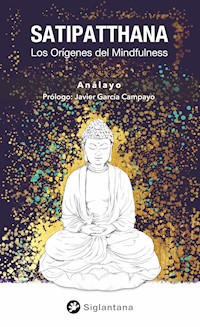 Satipatthana - Bhikkhu Anālayo - ebook