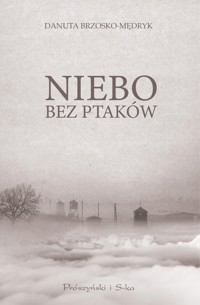 Niebo bez ptaków - Danuta Brzosko-Mędryk - ebook + książka