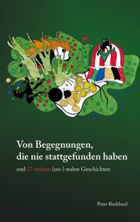 Von Begegnungen, die nie stattgefunden haben - Peter Burkhard - ebook