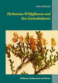 Herbarium-Wildpflanzen und ihre Gartenkulturen - Dieter Schmidt - ebook
