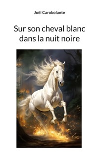Sur son cheval blanc dans la nuit noire - Joël Carobolante - ebook