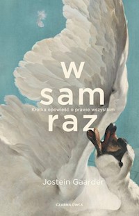 W sam raz - Gaarder Jostein - książka