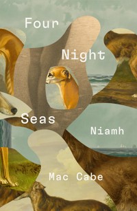 Four Night Seas - Niamh Mac Cabe - ebook