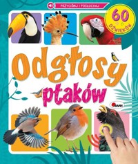 Odgłosy ptaków. 60 dźwięków - zbiorowa praca - książka