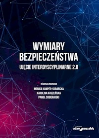 Wymiary bezpieczeństwa -  - książka