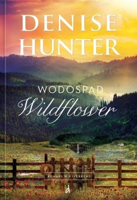 Wodospad Wildflower. Seria Romans w Riverbend. Tom 4 - Denise Hunter - ebook + książka
