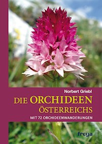 Die Orchideen Österreichs - Norbert Griebl - ebook
