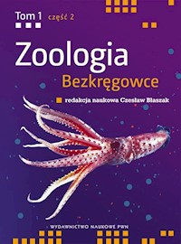 Zoologia bezkręgowce Tom 1 część 2 -  - książka