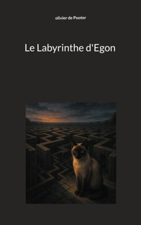 Le Labyrinthe d'Egon - Olivier de Pooter - ebook