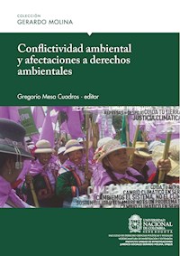 Conflictividad ambiental y afectaciones a derechos ambientales -  - ebook