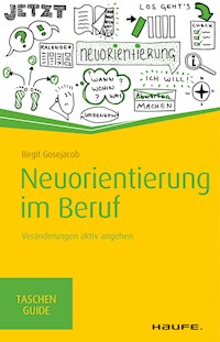 Neuorientierung im Beruf - Birgit Gosejacob - ebook
