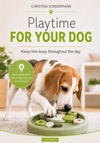 Playtime for your dog - Chistina Sondermann - ebook