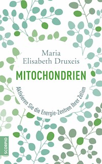 Mitochondrien - Maria Elisabeth Druxeis - ebook