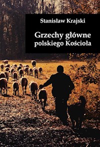 Grzechy główne polskiego Kościoła - Krajski Stanisław - książka