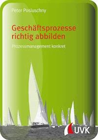Geschäftsprozesse richtig abbilden - Peter Posluschny - ebook