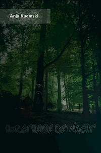 Horstheide bei Nacht - Anja Kuemski - ebook