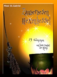 Zauberbesen Hexenkessel - Missi St. Gabriel - ebook