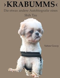 KRABUMMS - Sabine Grassy - ebook