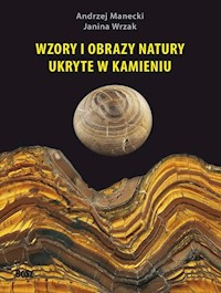 Wzory i obrazy natury ukryte w kamieniu - Manecki Andrzej, Wrzak Janina - książka