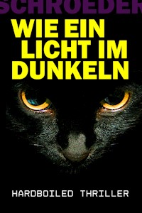 Wie Ein Licht Im Dunkeln - Frank Christopher Schroeder - ebook