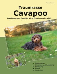 Traumrasse Cavapoo - Melanie Reimers - ebook
