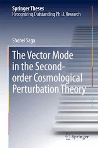 The Vector Mode in the Second-order Cosmological Perturbation Theory - Shohei Saga - ebook